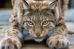 Životni način života, kontakt s ljudima